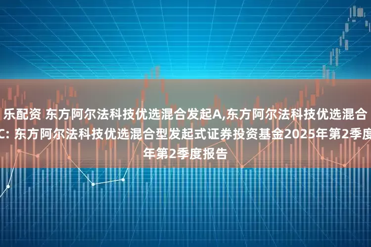 乐配资 东方阿尔法科技优选混合发起A,东方阿尔法科技优选混合发起C: 东方阿尔法科技优选混合型发起式证券投资基金2025年第2季度报告